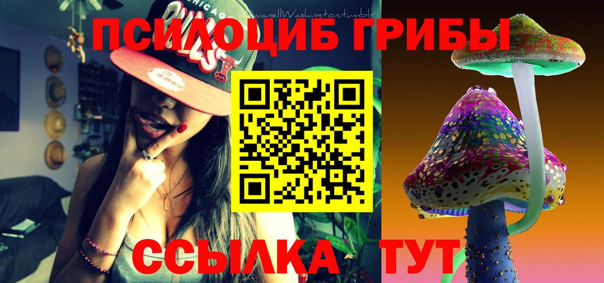 Новодвинск  Псилоцибиновые грибы MAGIC MUSHROOMS  Вход с VPN  Галлюциногенные грибы прущие грибы 
